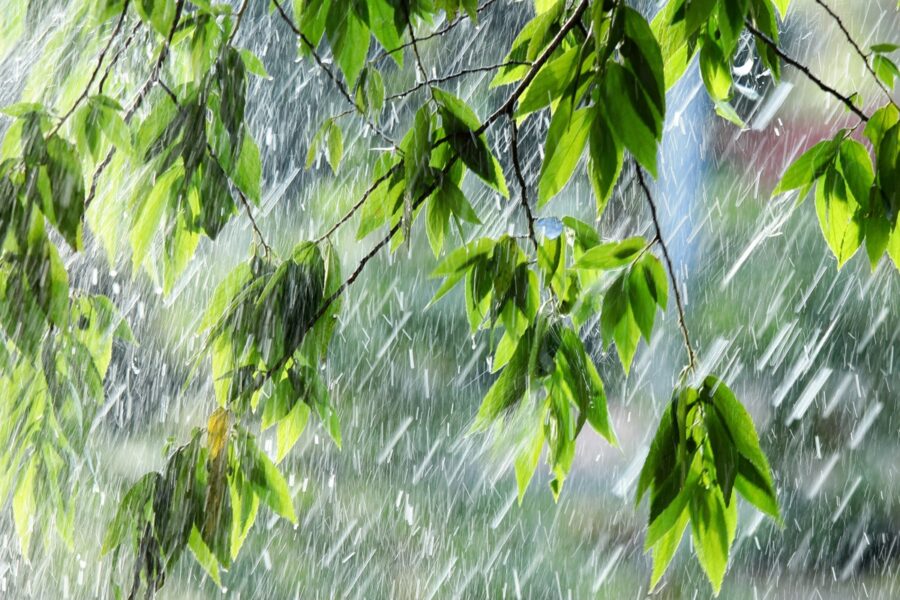 Can Heavy Rain Cause Septic Smell?